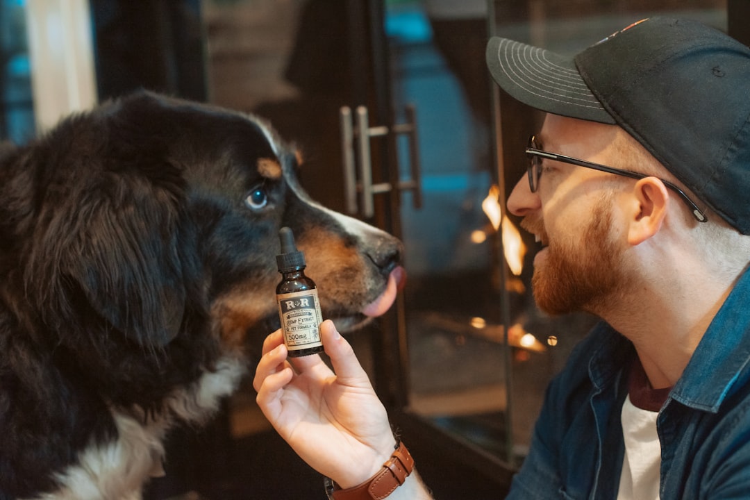 support animal anxiety — shallow focus photo of man in front of long-coated black and brown dog